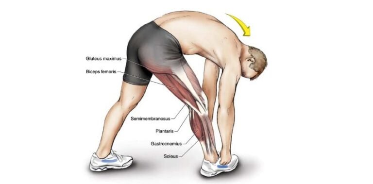 The 5 Best Hamstring Stretches For Pain Relief, Injury Prevention,