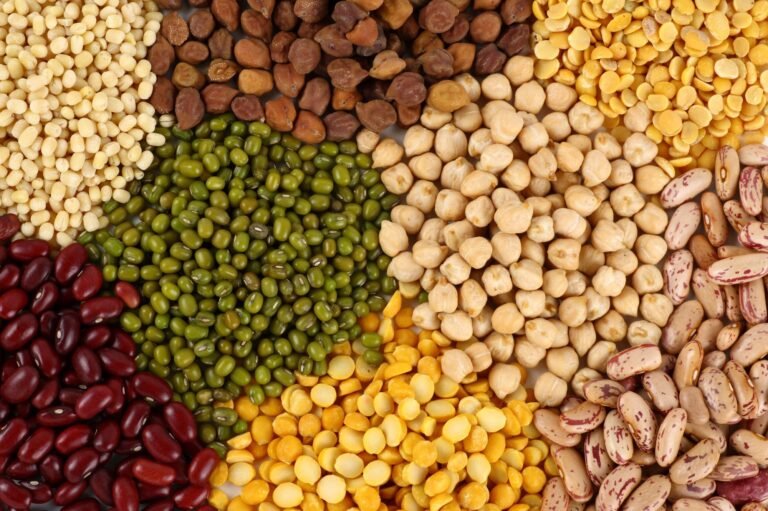 Study Finds Plant Proteins Improve Rest, While Animal Proteins May