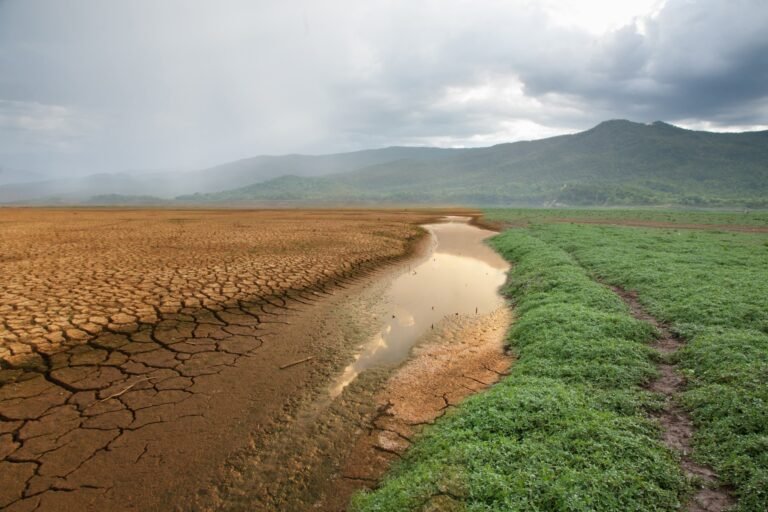 Climate Change Predicted To Increase Cardiovascular Disease Deaths In China