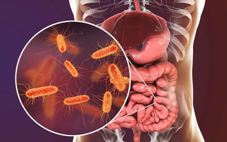 New Study Reveals Critical Role Of Gut Microbiome In Aging