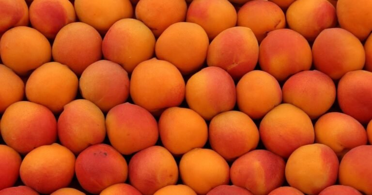 Peaches: Nature's Profitable Superfood: Revealing Their Nutritional Riches