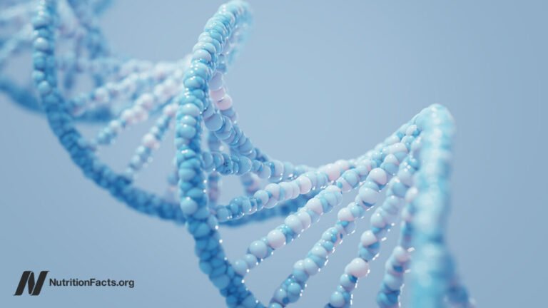 What Is The Role Of Our Genes In The Obesity