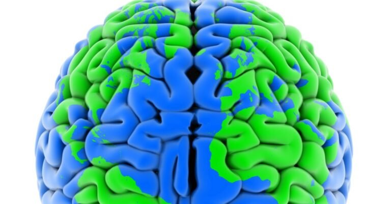 Youth With Conduct Disorder Show Wide Differences In Brain Structure