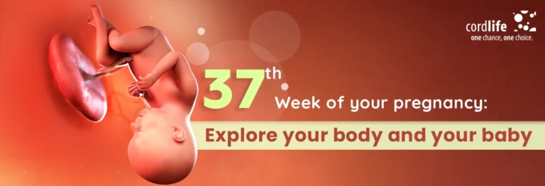 Everything You Need To Know