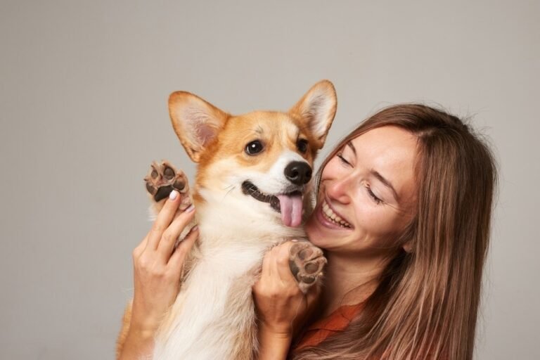 Research Shows Brain Synchronization Between Humans And Dogs