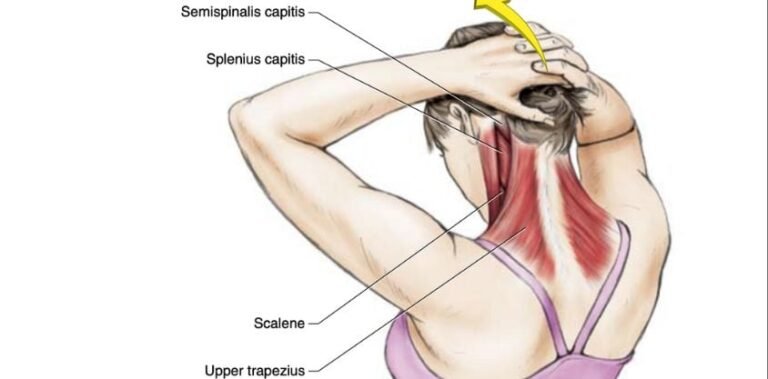 5 Neck Stretches To Release Tension And Restore Comfort