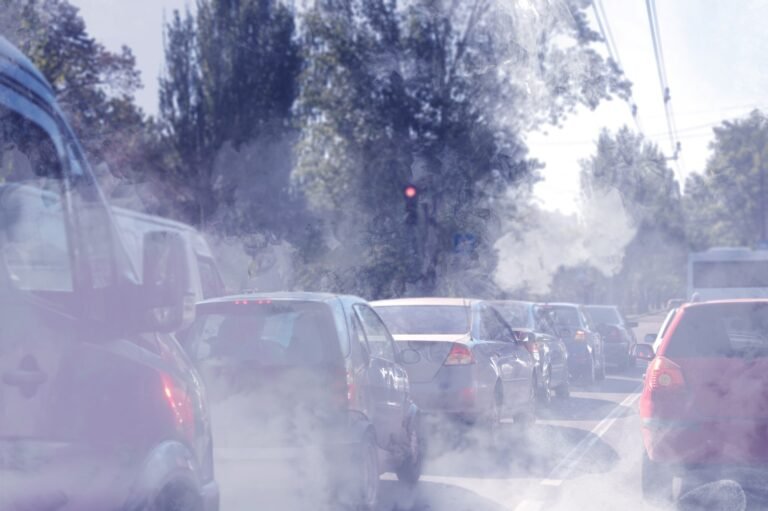 Long Term Exposure To Air Pollution Is Associated With An Increased