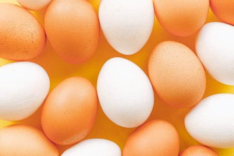 Egg Substitutes To Be Used In Daily Cooking