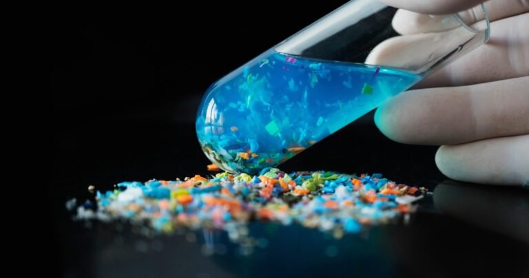 Blood Infiltration Can Provide New Hope For Removing Microplastics From