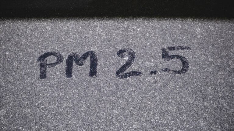 The Study Shows No Relationship Between Pm2.5 Spikes And Large