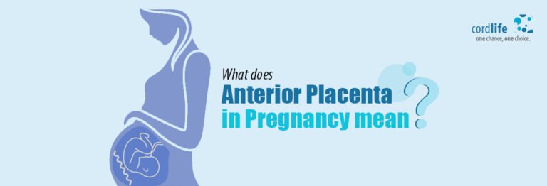 What Does The Anterior Placenta Mean During Pregnancy?