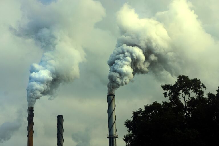 Scientists Identify Genetic Indications That Connect Air Pollution To Neurodegeneration