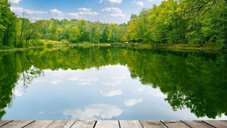 Simple And Fun Outdoor Activities For The Body And Mind