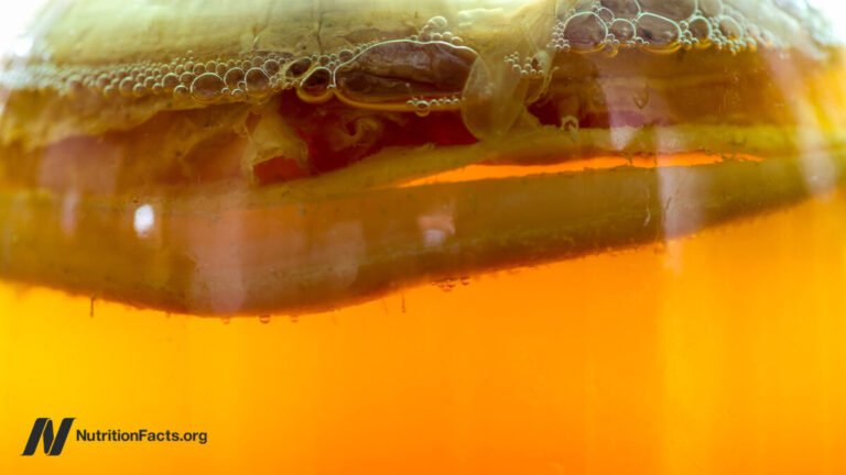 We need to drink kombucha We Need To Drink Kombucha