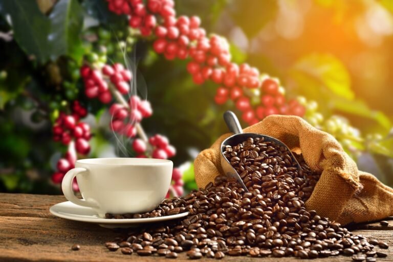 Roasted Coffee Arabica Hides Strong Anti Diabetic Molecules