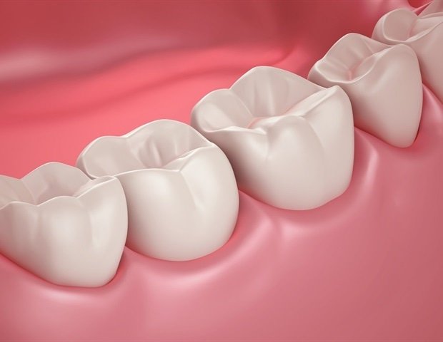 Discovery of the role of lingual and buccal cells in tooth development Discovery Of The Role Of Lingual And Buccal Cells In