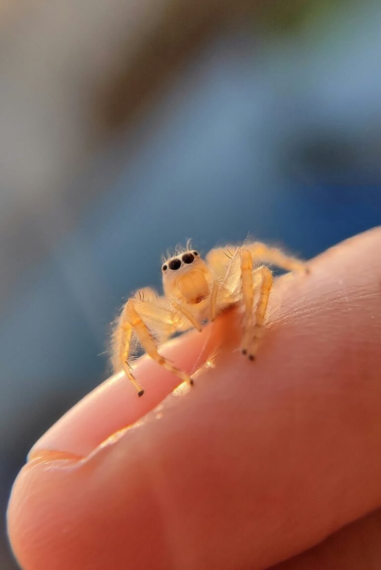 All Therapy Is Exposure Therapy