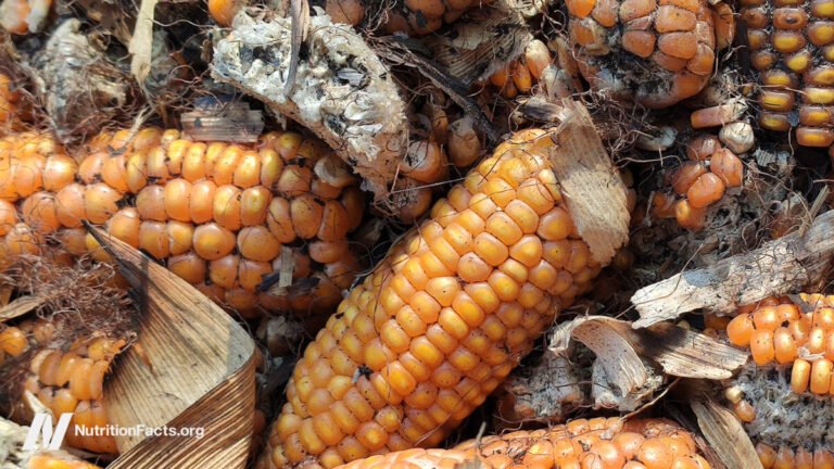Is Aflatoxin A Concern?