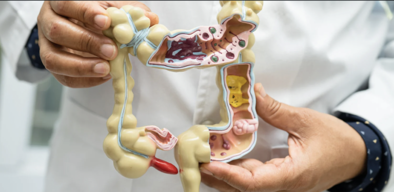 Gut Health Training begins on February 28, 2026 Gut Health Training Begins On February 28, 2026