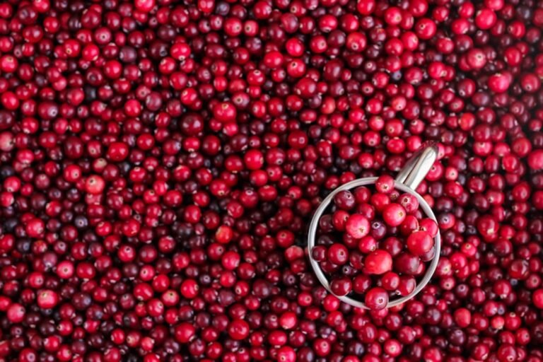 Tiktok's Viral Cranberry Recipes For Winter