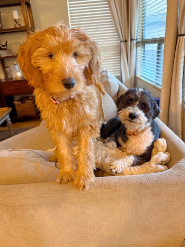 2.6 Friday Faves The Fitnessista