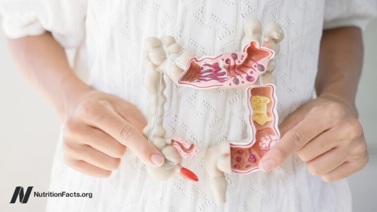 What Foods Help Leaky Gut?