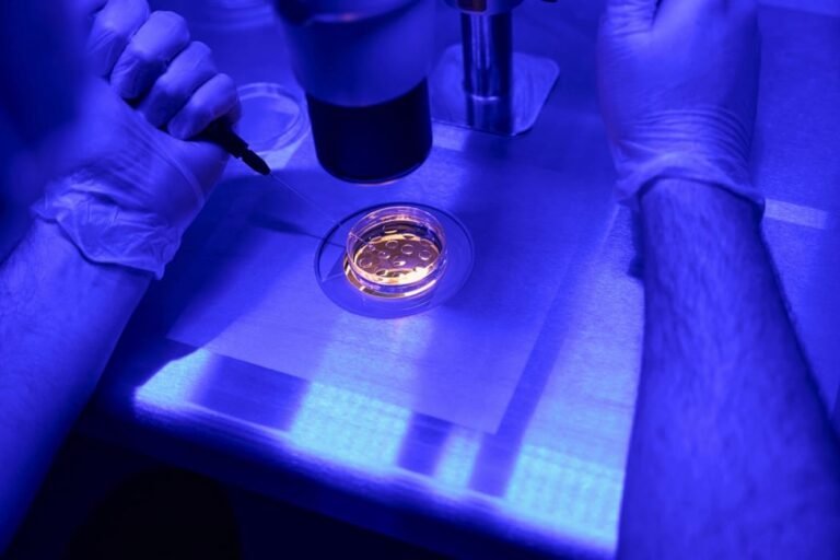 Why Chromosomally Normal Embryos Still Fail To Implant: New Ivf