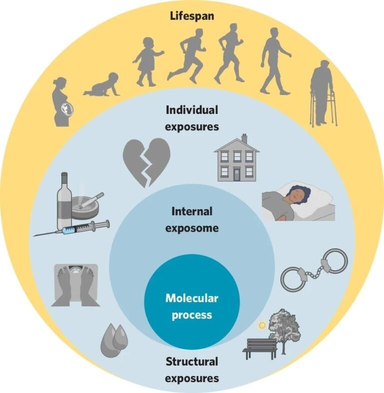 How Social And Environmental Exposures Across The Lifespan Affect Mental