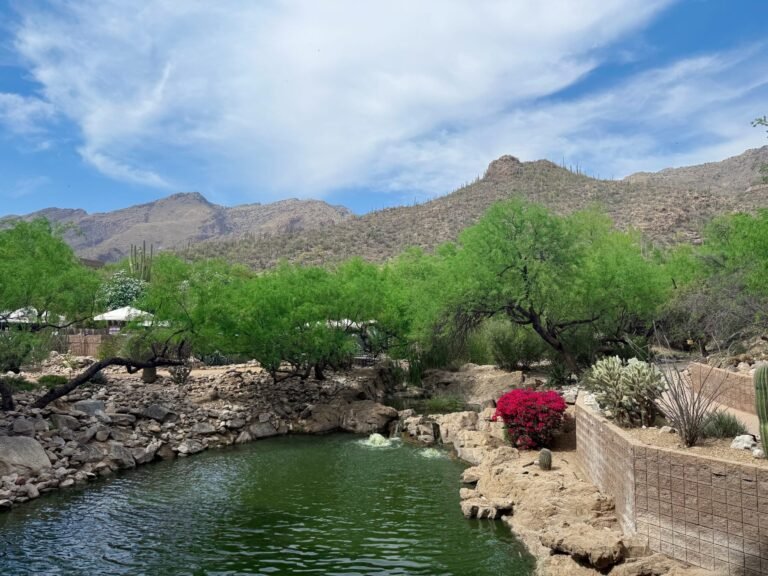 4.3 Friday Faves – The Fitnessista 4.3 Friday Faves The Fitnessista