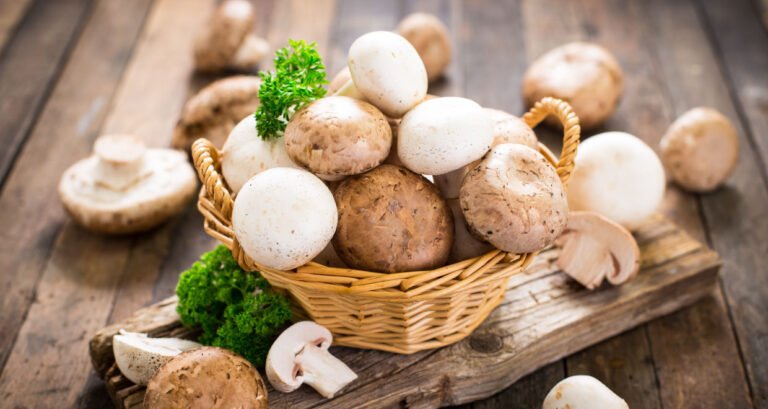 Are You A Fungus Fanatic? We Unpack The Nutritional Trend