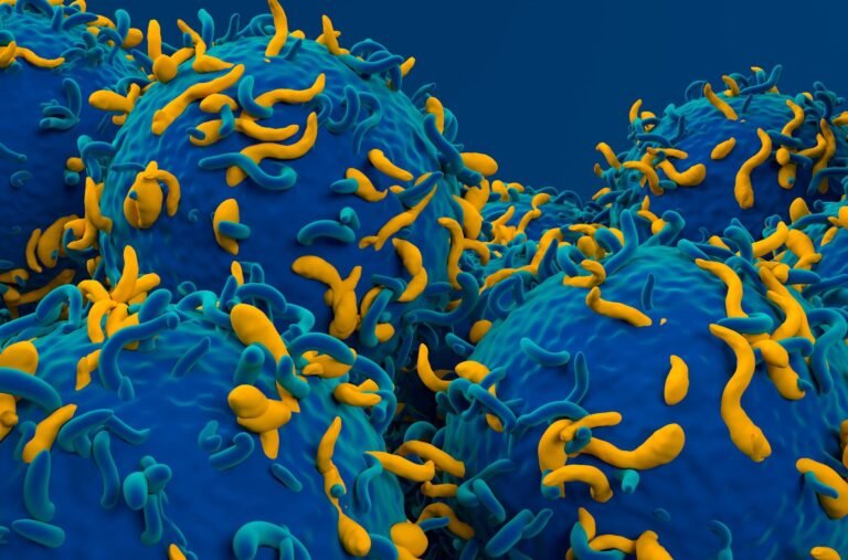 Scientists Are Reengineering Car T Cells To Fight More Than Just