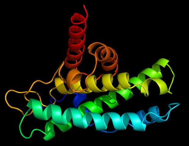 Scientists envision a key cellular protein that regulates inflammatory disease pathways Scientists Envision A Key Cellular Protein That Regulates Inflammatory Disease