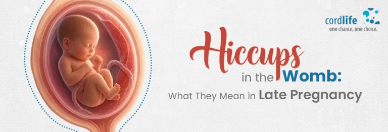 Why the baby hiccups in the womb: What you need to know Why The Baby Hiccups In The Womb: What You Need