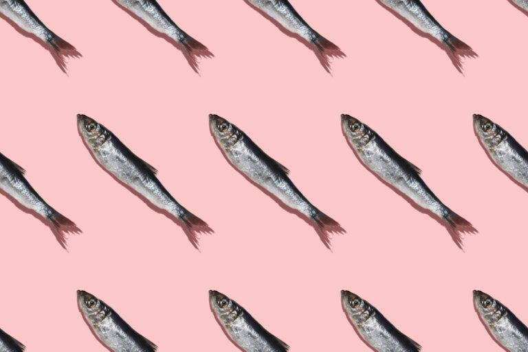 The Right Seafood Choices Can Help Diets Meet Health And
