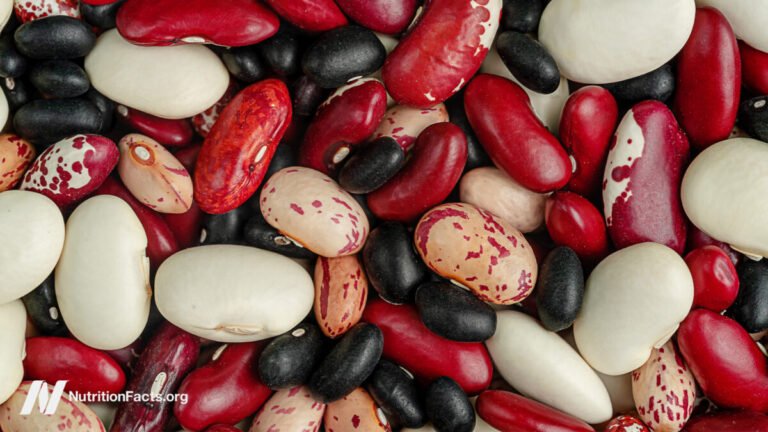 Which beans are best at preventing the spread of cancer? Which Beans Are Best At Preventing The Spread Of Cancer?