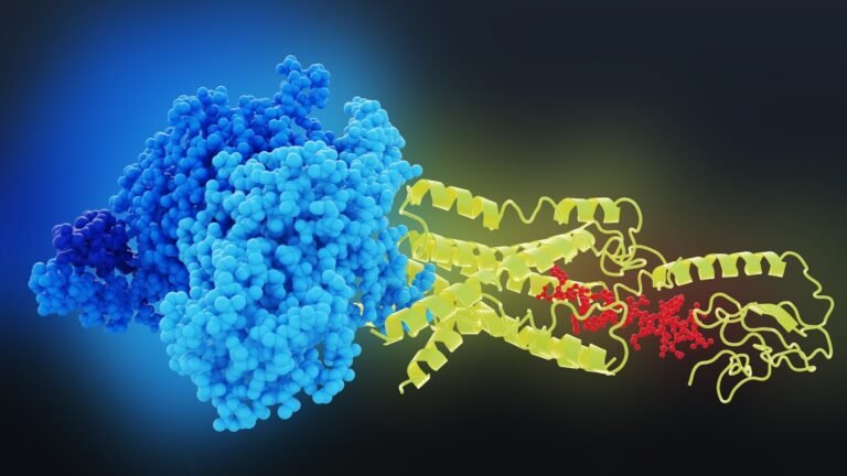 Glp 1 Receptor Activation Is Associated With Lower Odds Of Depression