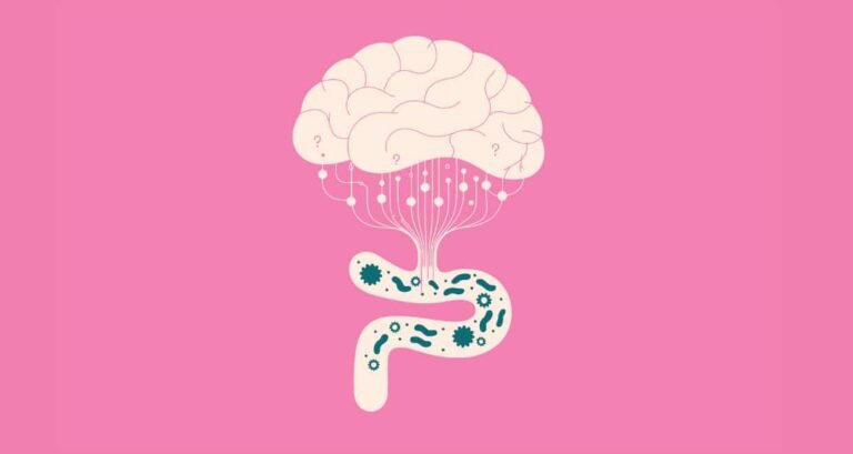 Menopause And Your Microbiome: How Gut Health Shapes Weight, Mood,