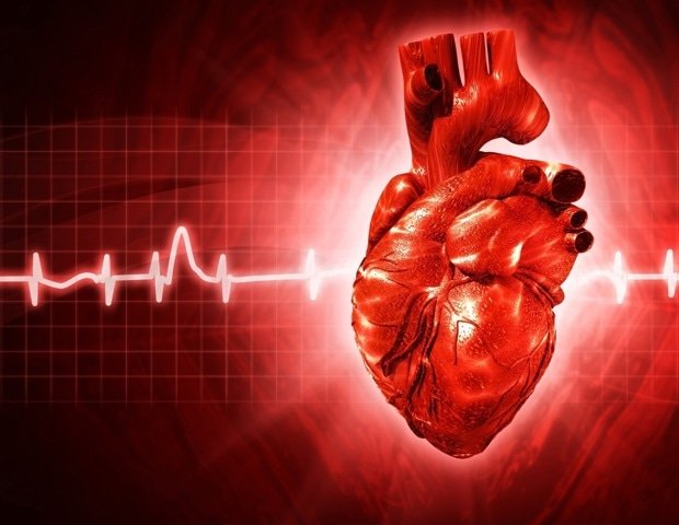 Planetary Health Diet Reduces Cardiovascular Risk in Older Women Planetary Health Diet Reduces Cardiovascular Risk In Older Women