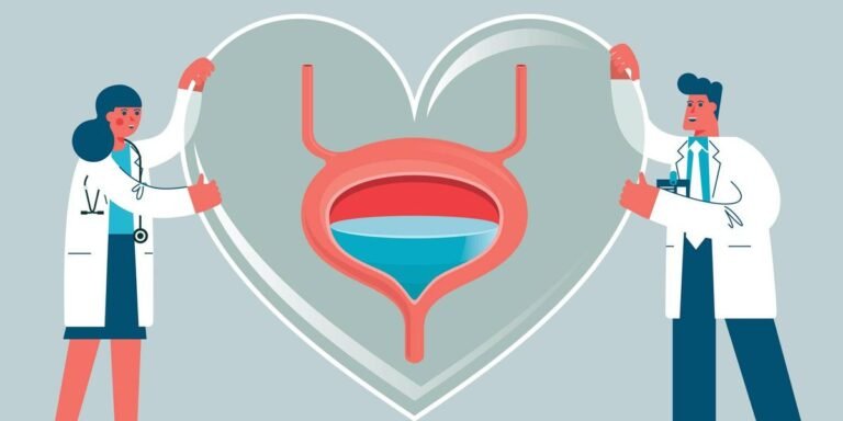 The Connection Between Bladder Health And Heart Health