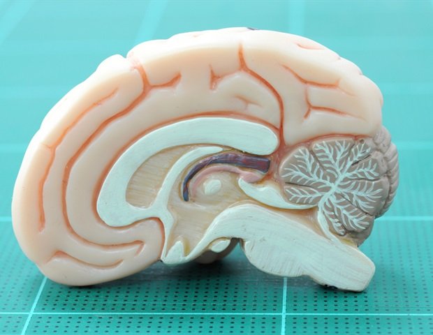 UCSF and Samsung launch remote study of aging brain health Ucsf And Samsung Launch Remote Study Of Aging Brain Health